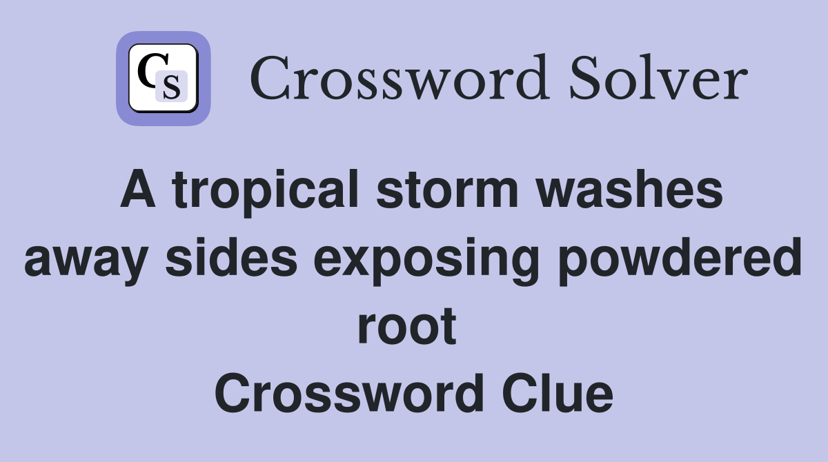 A tropical storm washes away sides exposing powdered root  Crossword Clue