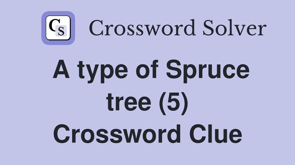 A type of Spruce tree (5) Crossword Clue