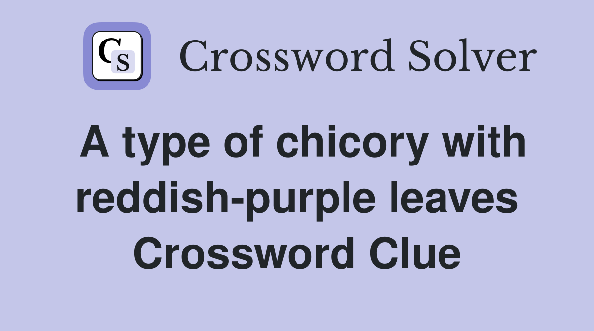 A type of chicory with reddish-purple leaves Crossword Clue