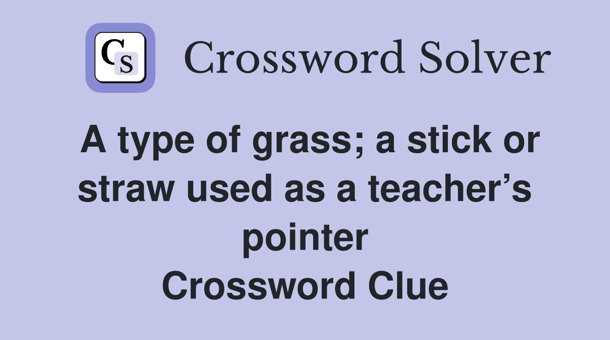 A type of grass; a stick or straw used as a teacher’s pointer Crossword Clue