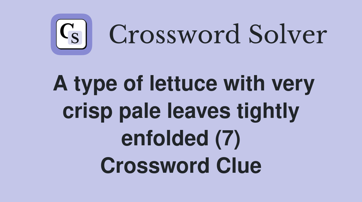 A type of lettuce with very crisp pale leaves tightly enfolded (7) Crossword Clue