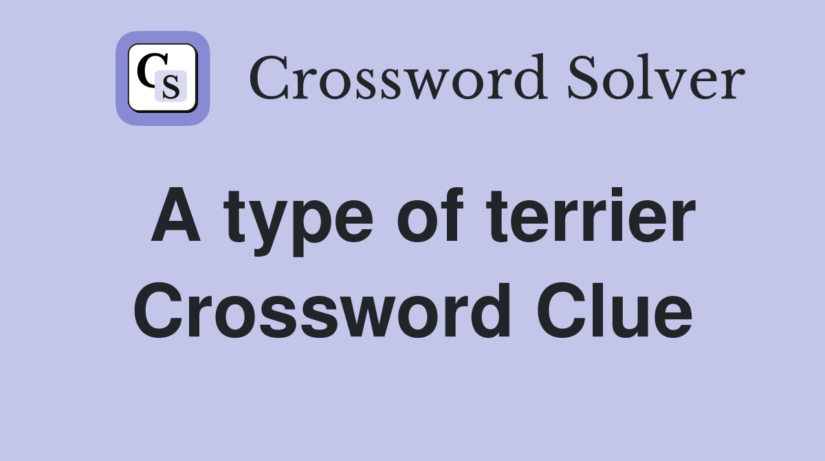 A type of terrier Crossword Clue