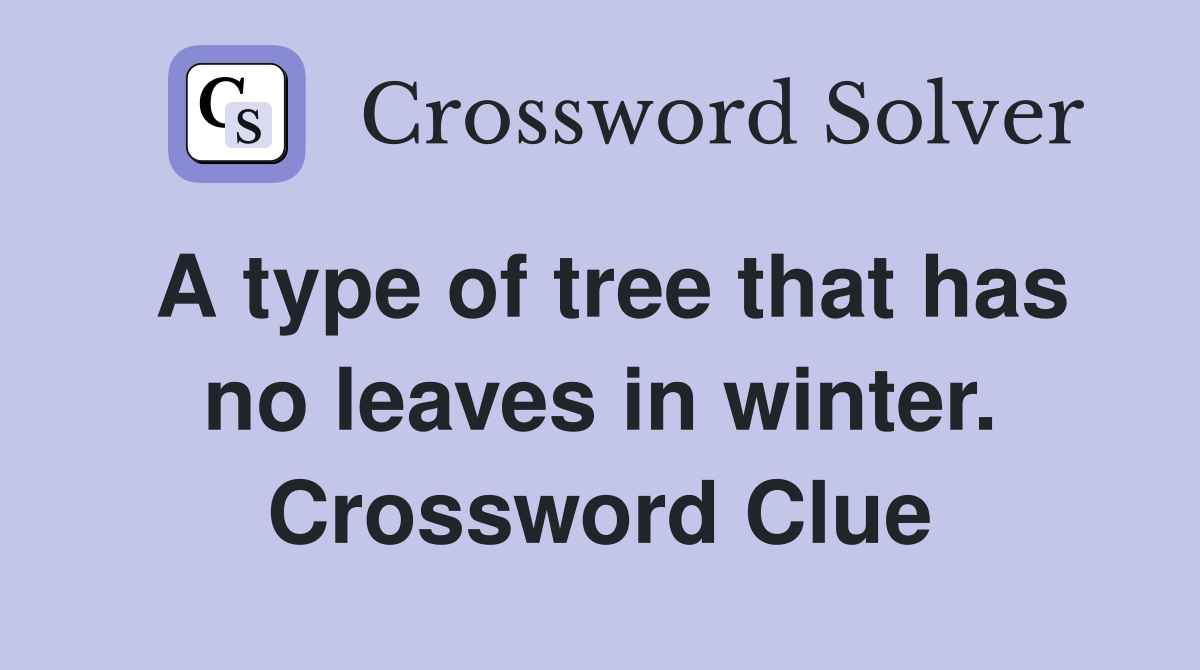 A type of tree that has no leaves in winter. Crossword Clue