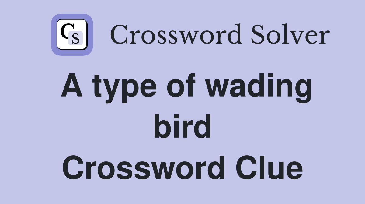 A type of wading bird Crossword Clue