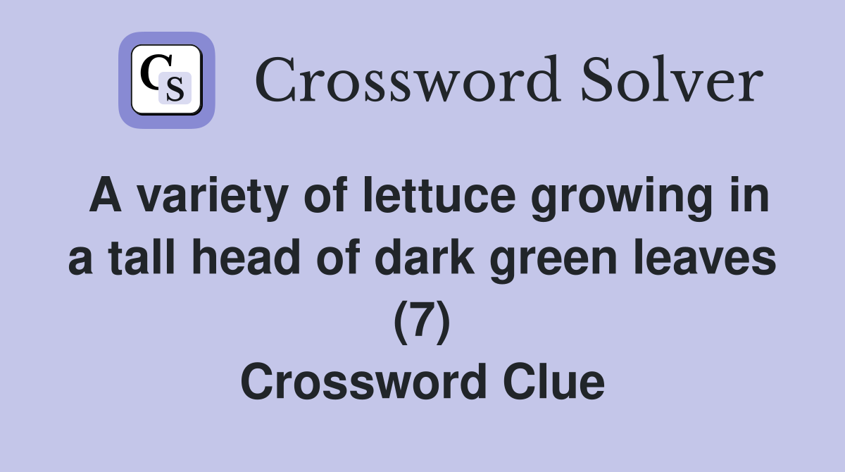 A variety of lettuce growing in a tall head of dark green leaves (7) Crossword Clue