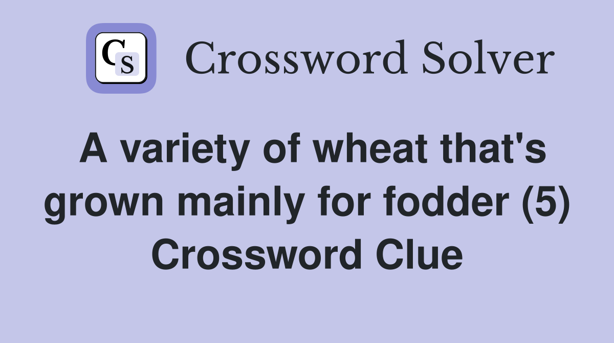 A variety of wheat that's grown mainly for fodder (5) Crossword Clue