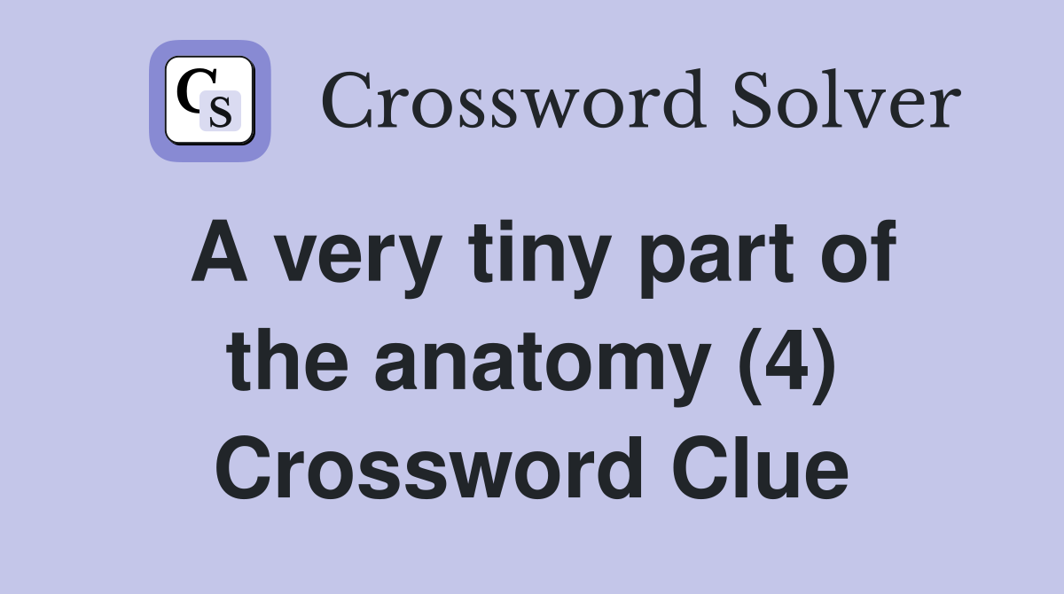 A very tiny part of the anatomy (4) Crossword Clue