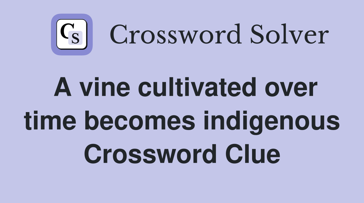 A vine cultivated over time becomes indigenous Crossword Clue