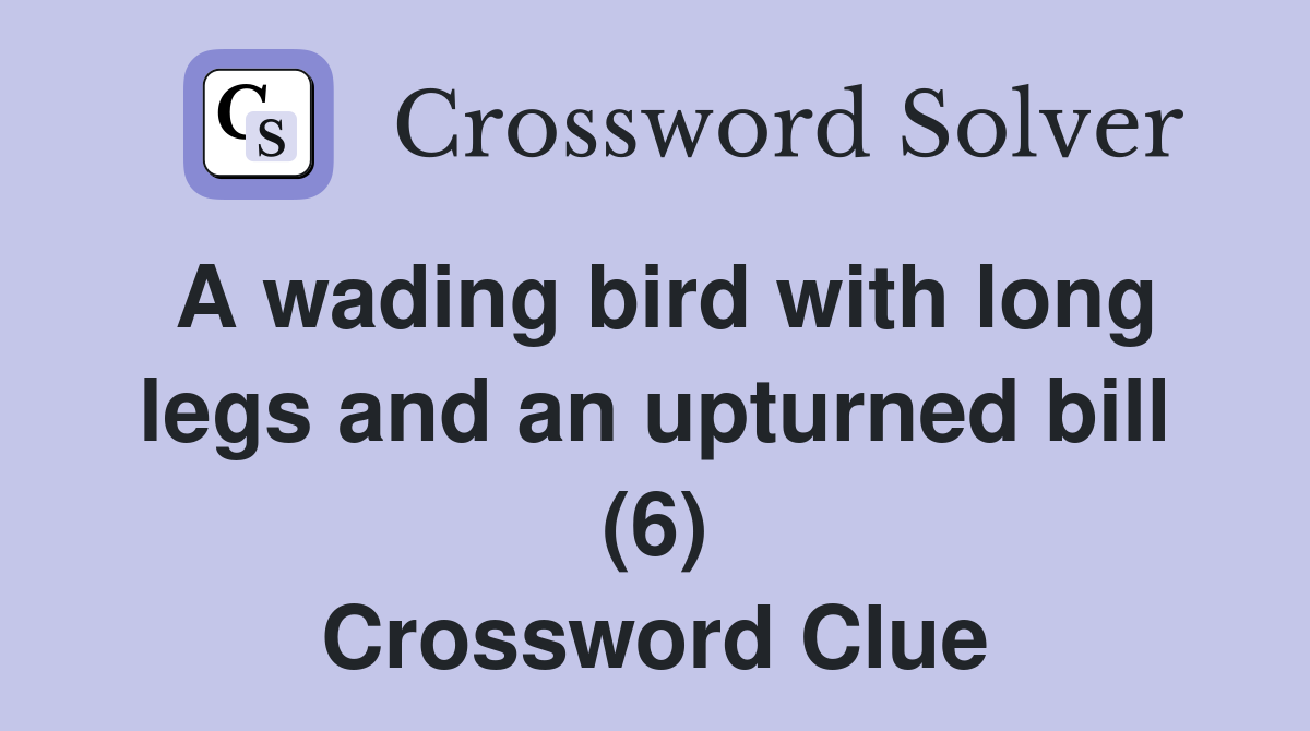A wading bird with long legs and an upturned bill (6) Crossword Clue