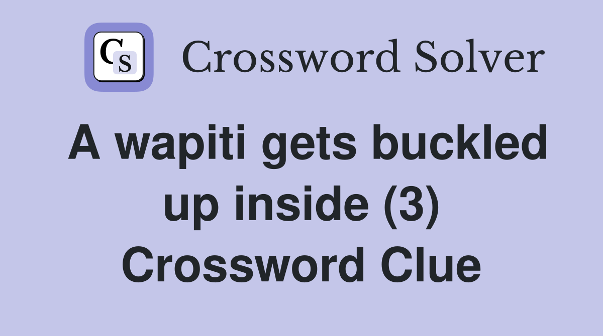 A wapiti gets buckled up inside (3) Crossword Clue