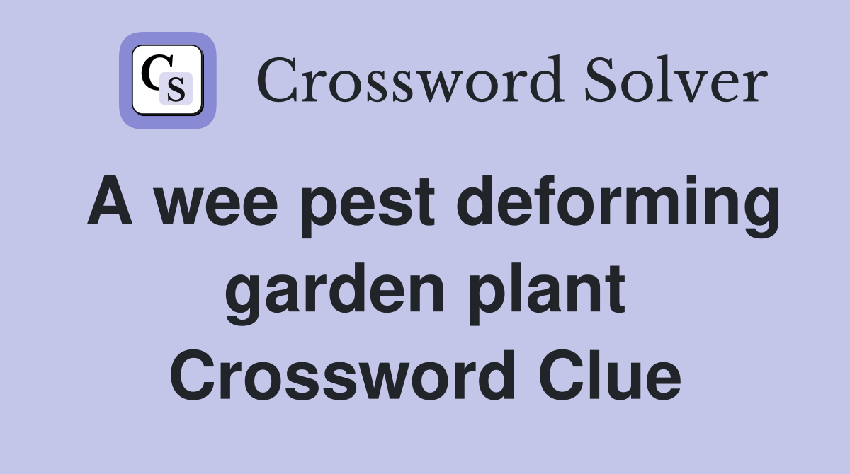 A wee pest deforming garden plant Crossword Clue