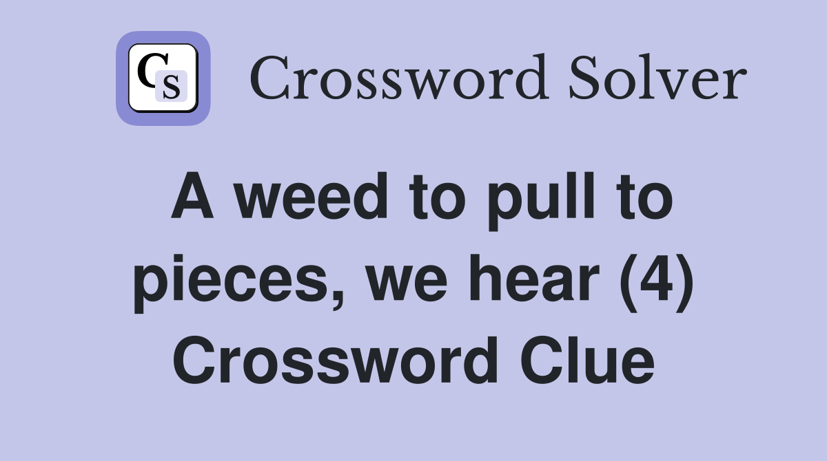 A weed to pull to pieces, we hear (4) Crossword Clue