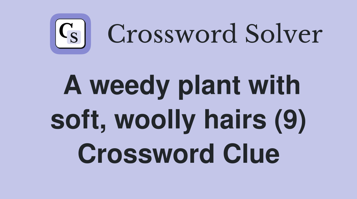 A weedy plant with soft, woolly hairs (9) Crossword Clue