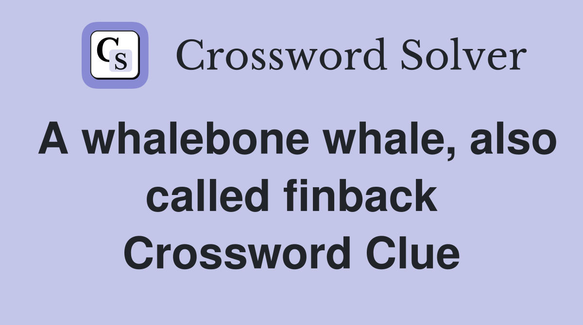 A whalebone whale, also called finback Crossword Clue