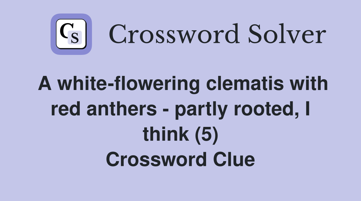 A white-flowering clematis with red anthers - partly rooted, I think (5) Crossword Clue