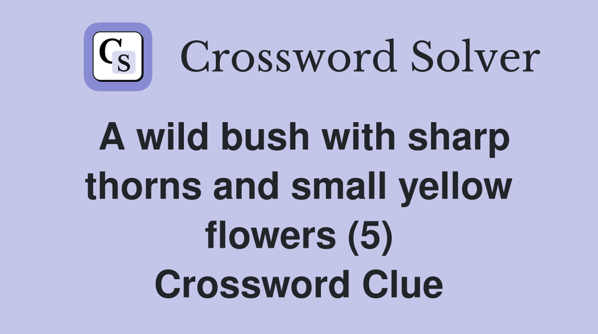 A wild bush with sharp thorns and small yellow flowers (5) Crossword Clue