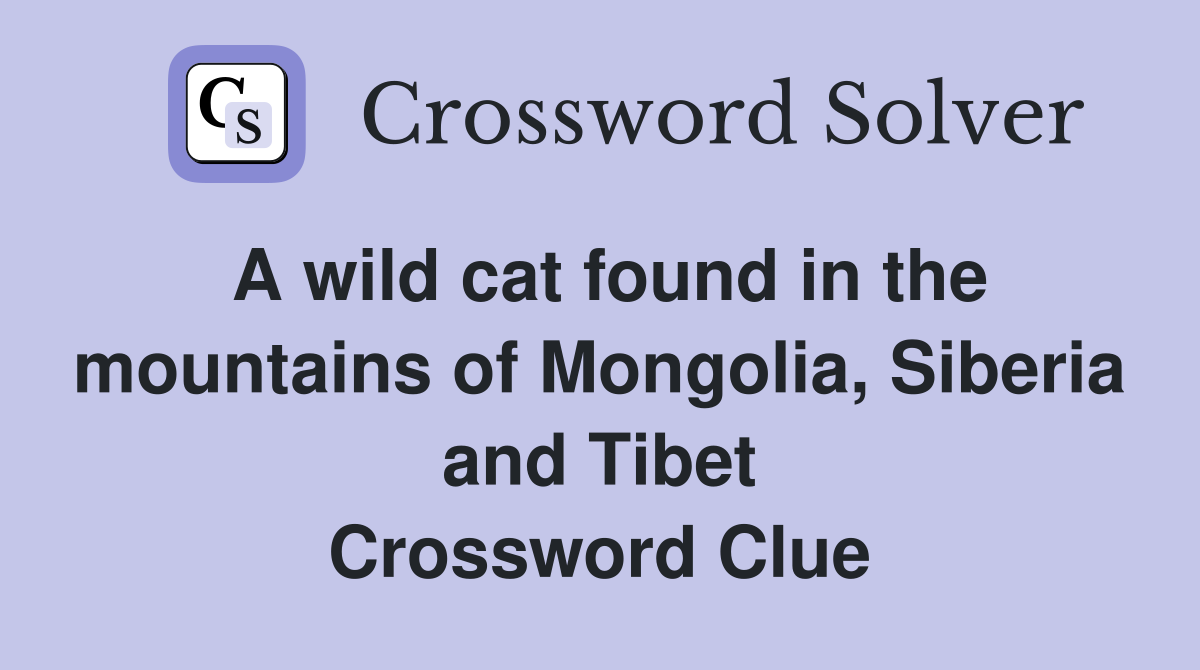 A wild cat found in the mountains of Mongolia, Siberia and Tibet Crossword Clue