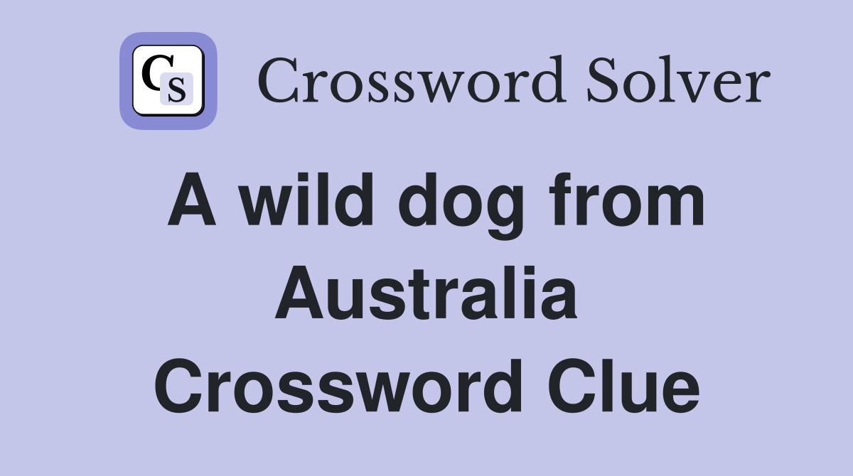 A wild dog from Australia Crossword Clue