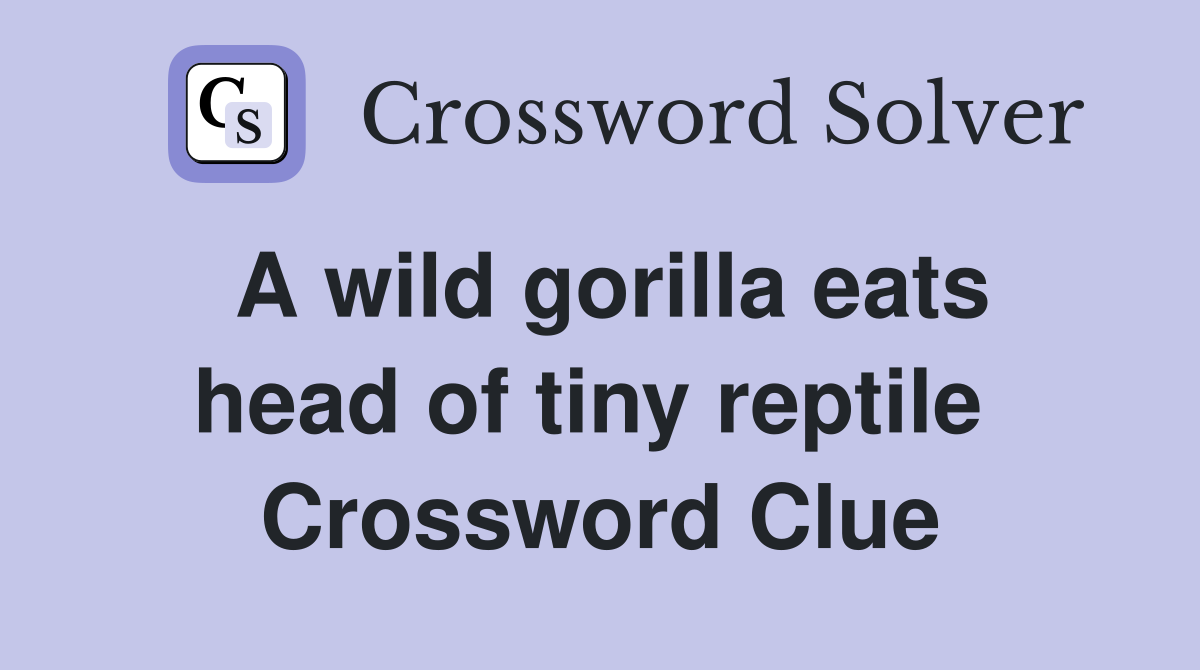 A wild gorilla eats head of tiny reptile  Crossword Clue