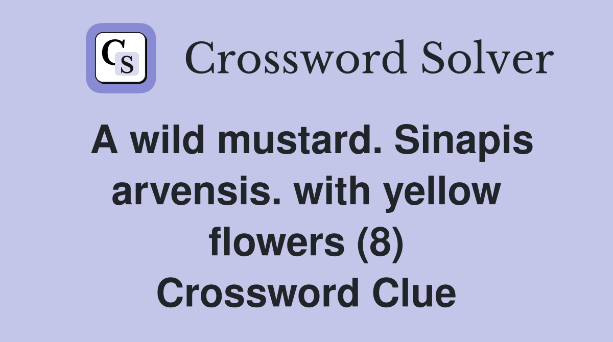 A wild mustard. Sinapis arvensis. with yellow flowers (8) Crossword Clue