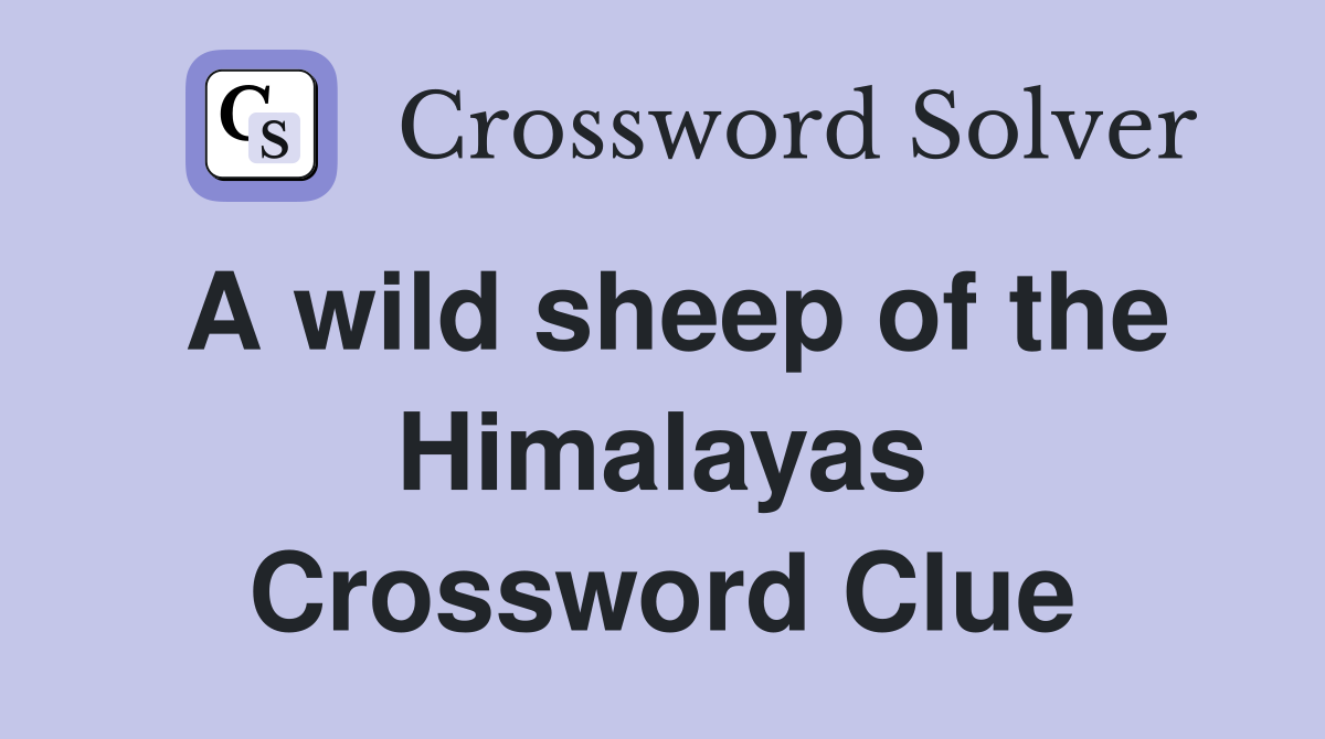 A wild sheep of the Himalayas Crossword Clue