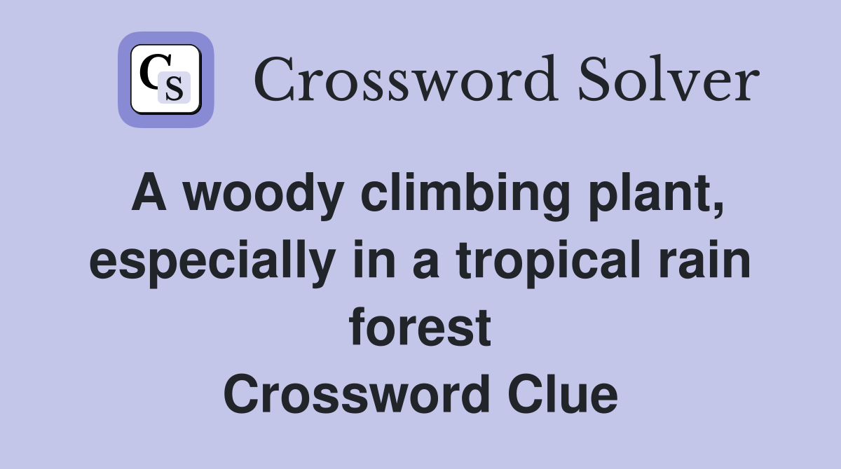 A woody climbing plant, especially in a tropical rain forest Crossword Clue