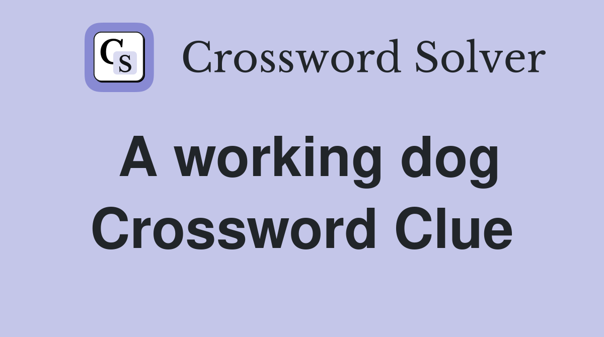 A working dog Crossword Clue