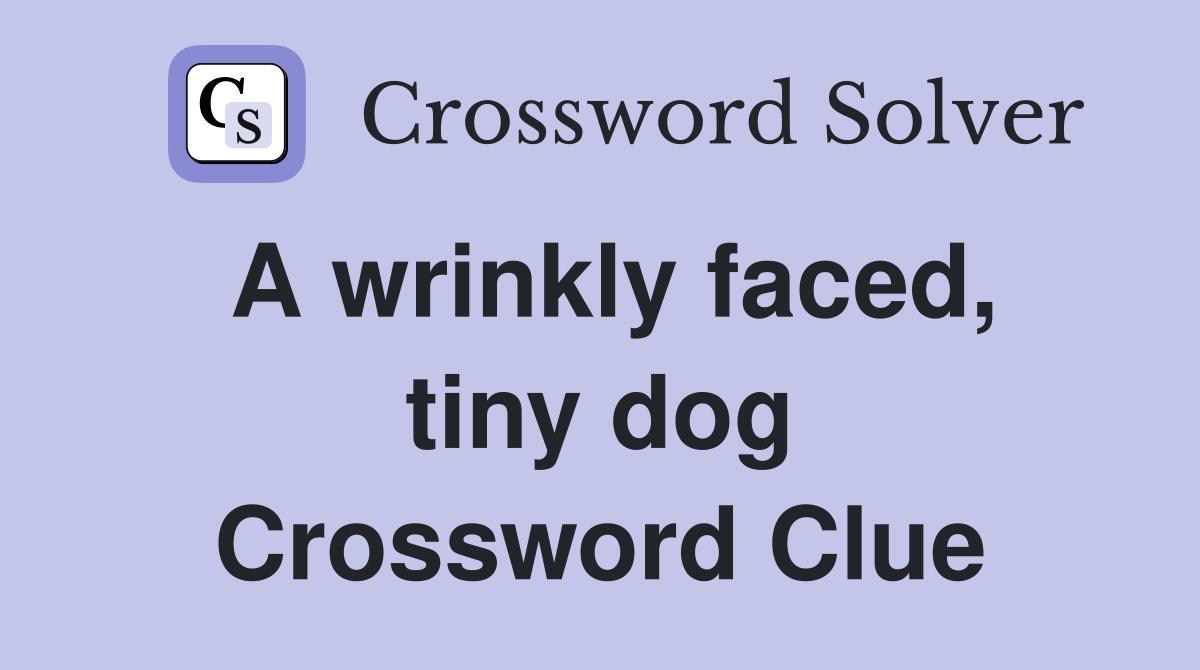 A wrinkly faced, tiny dog Crossword Clue