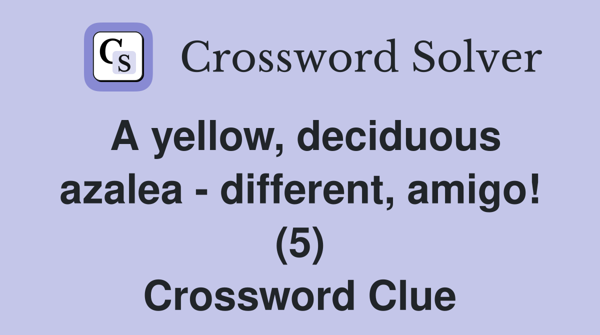 A yellow, deciduous azalea - different, amigo! (5) Crossword Clue
