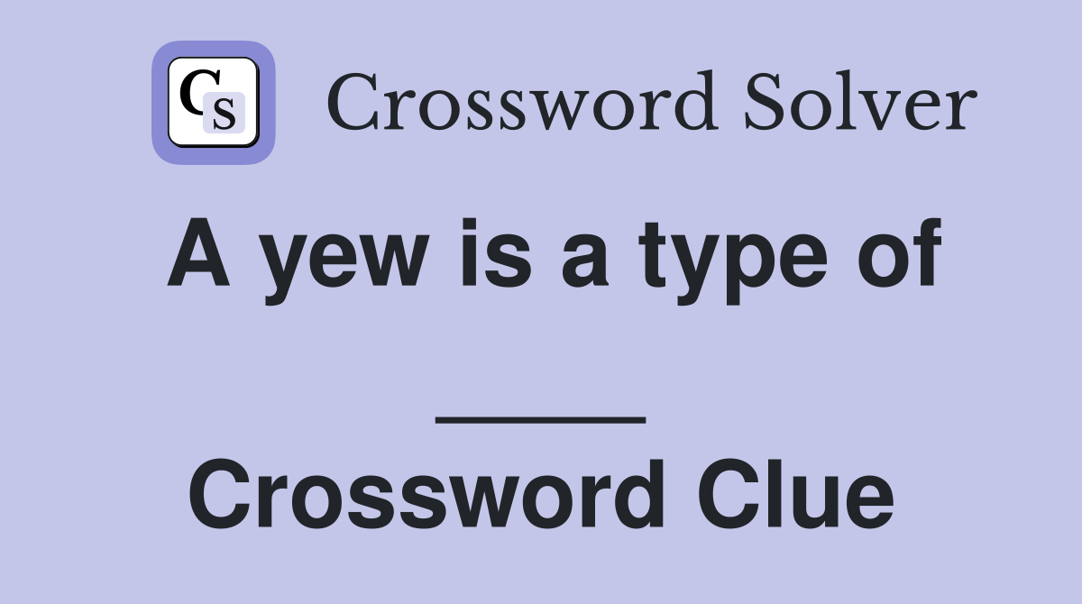 A yew is a type of ____ Crossword Clue