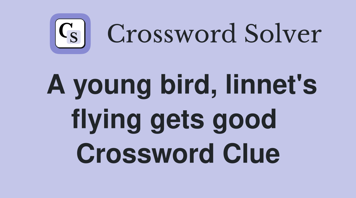 A young bird, linnet's flying gets good  Crossword Clue