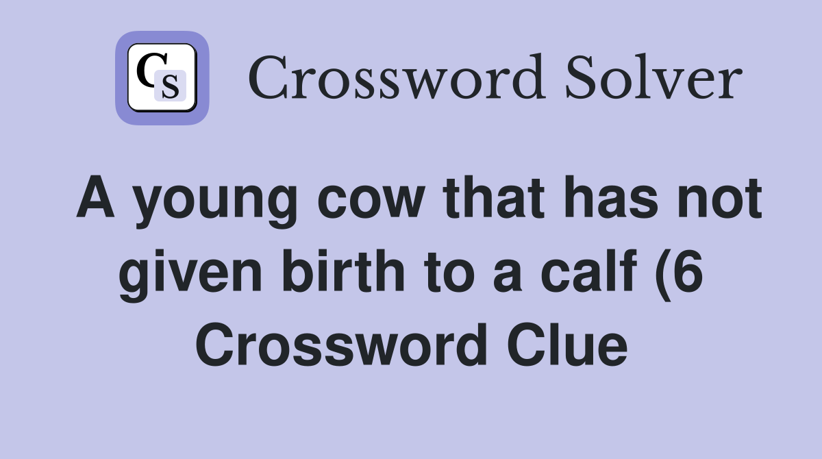 A young cow that has not given birth to a calf (6) Crossword Clue A young cow that has not given birth to a calf (6) Crossword Clue