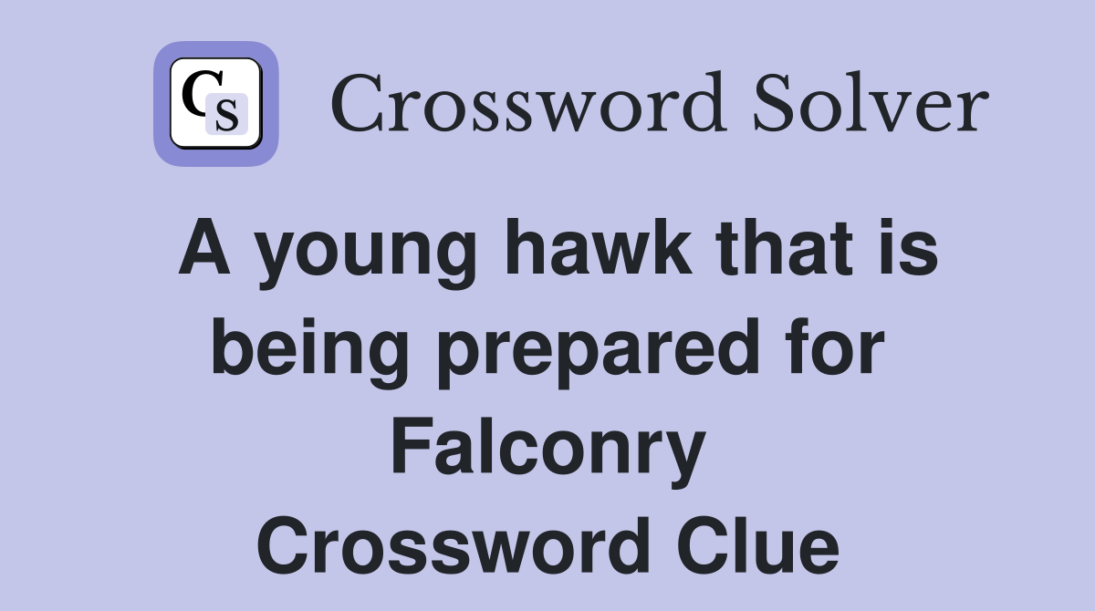 A young hawk that is being prepared for Falconry Crossword Clue