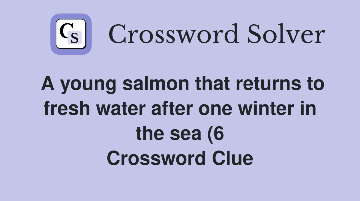 A young salmon that returns to fresh water after one winter in the sea A young salmon that returns to fresh water after one winter in the sea