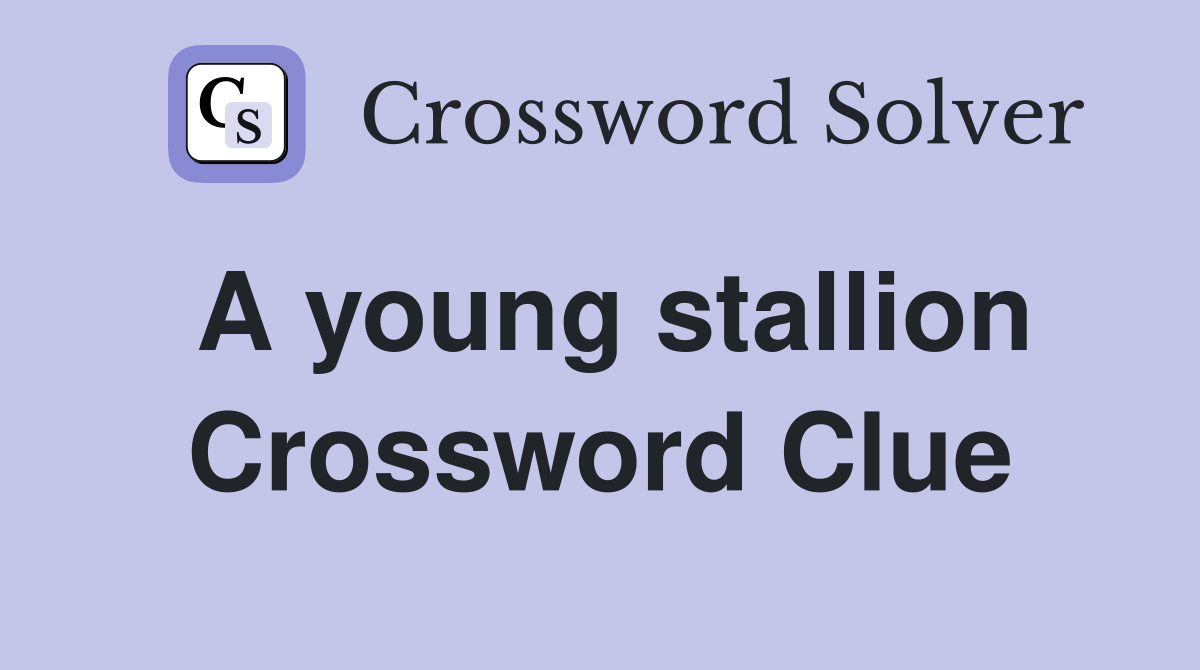 A young stallion Crossword Clue