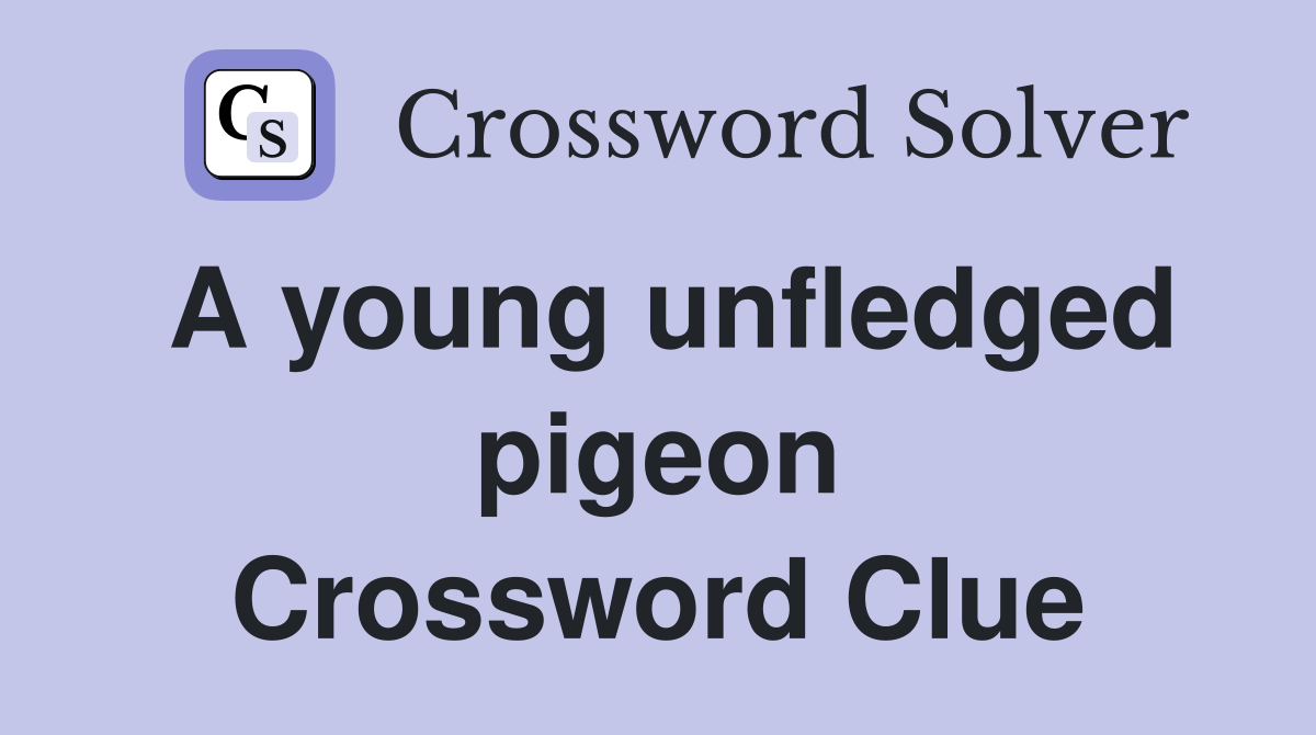 A young unfledged pigeon Crossword Clue