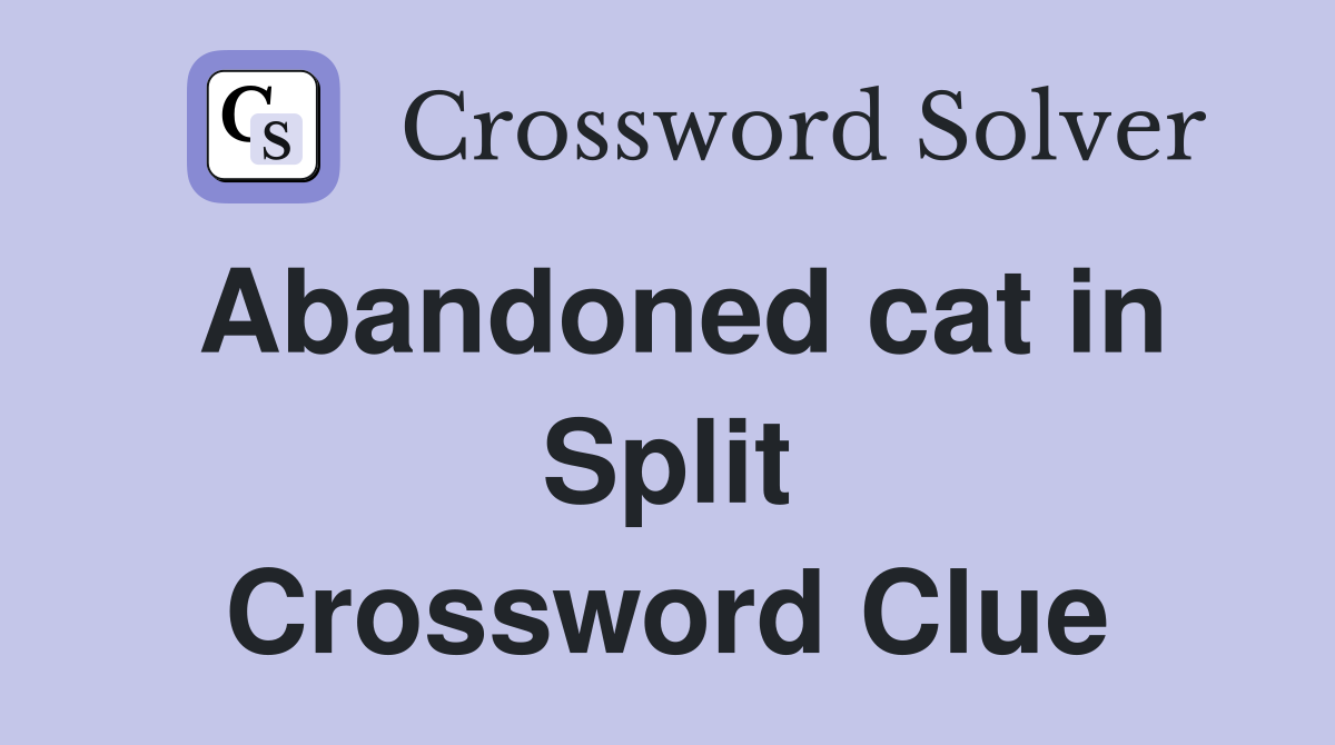 Abandoned cat in Split Crossword Clue
