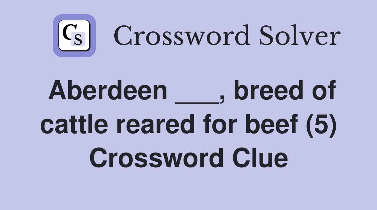 Aberdeen ___, breed of cattle reared for beef (5) Crossword Clue
