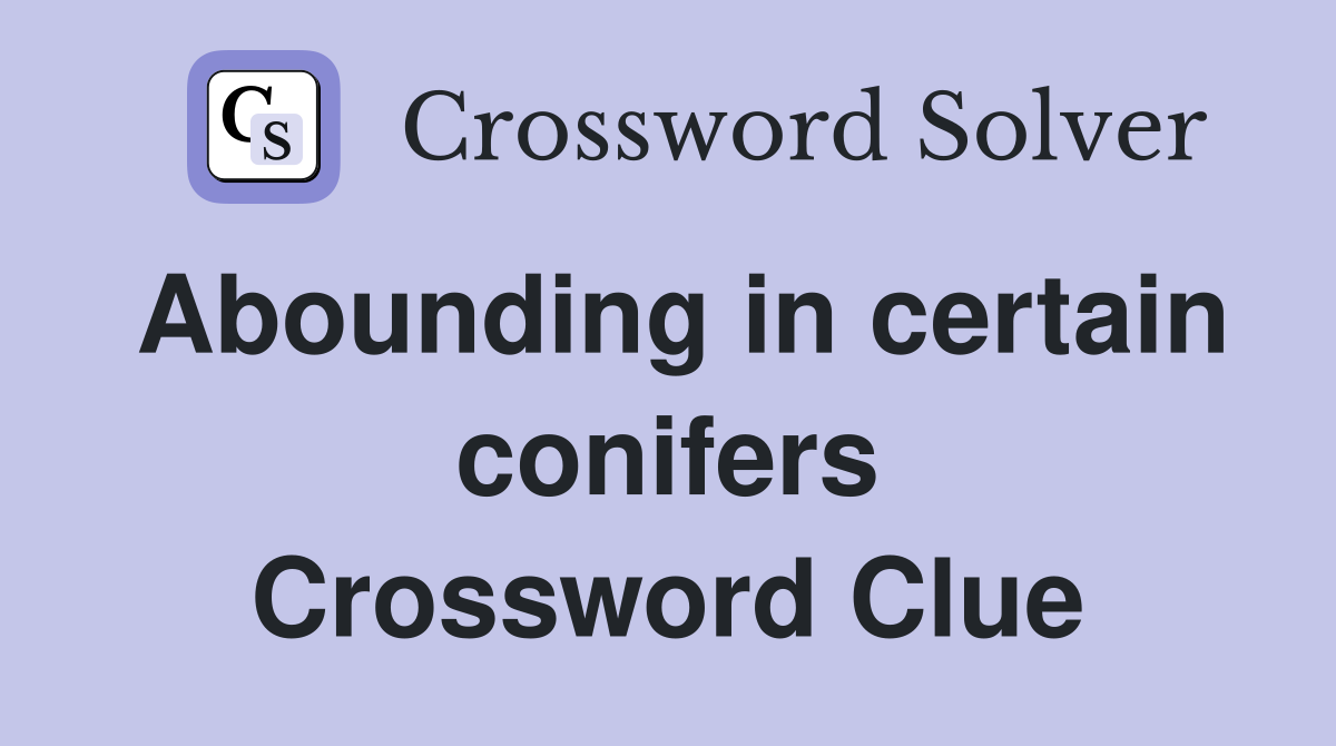 Abounding in certain conifers Crossword Clue