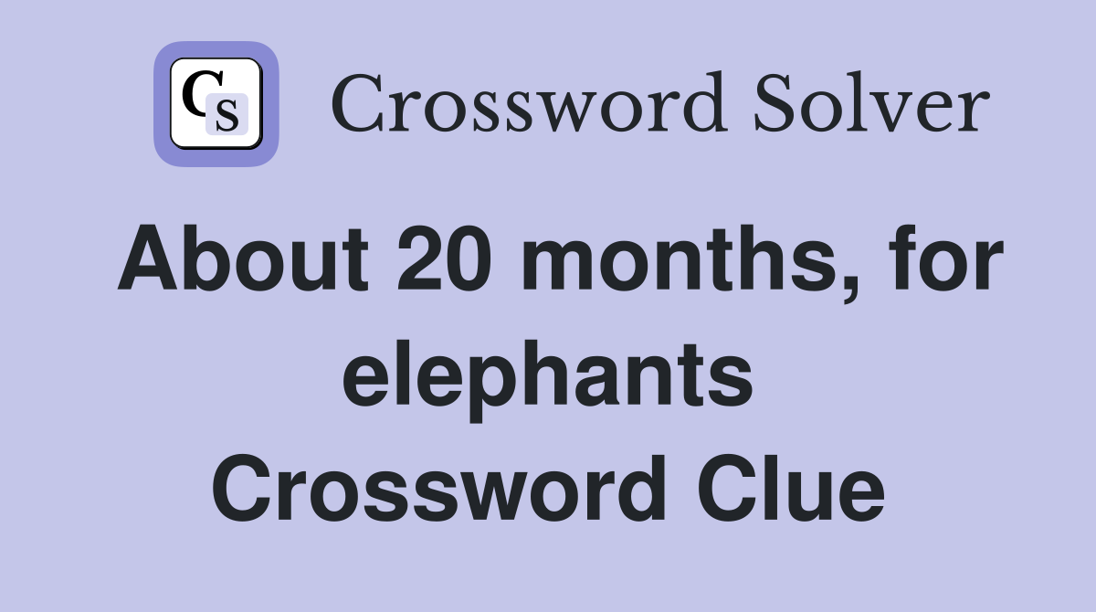 About 20 months, for elephants Crossword Clue