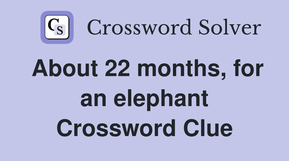 About 22 months, for an elephant Crossword Clue