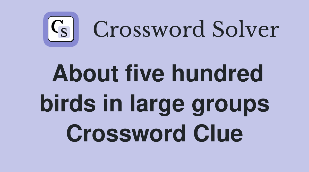About five hundred birds in large groups Crossword Clue