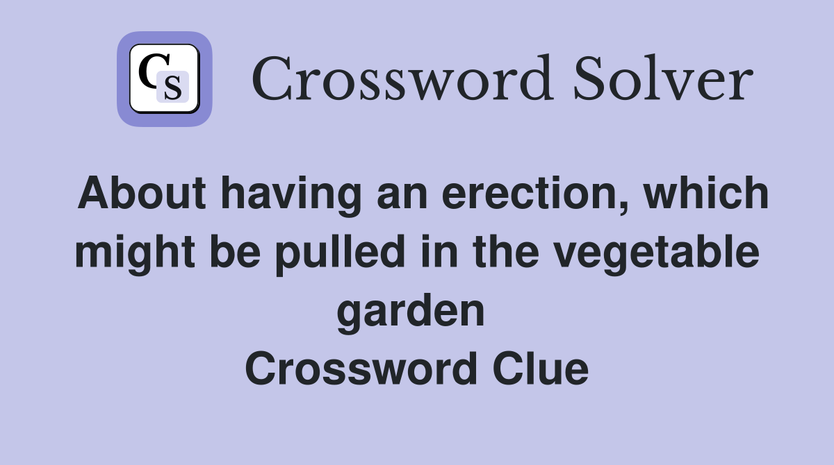 About having an erection, which might be pulled in the vegetable garden  Crossword Clue