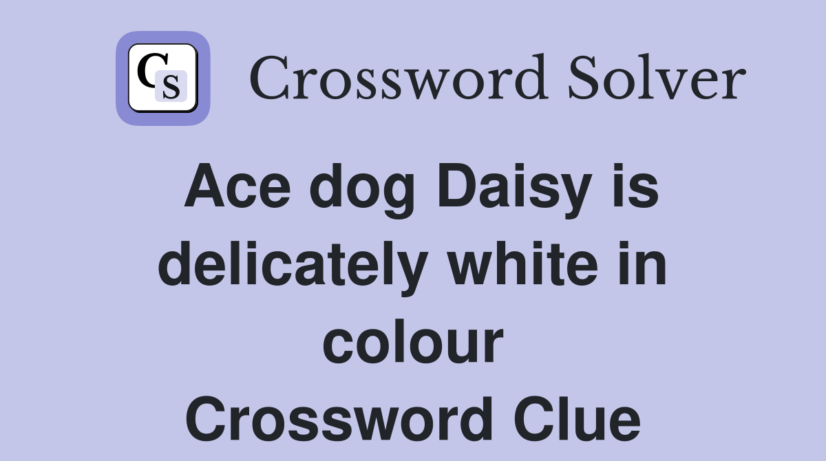 Ace dog Daisy is delicately white in colour Crossword Clue