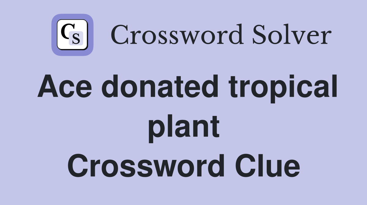 Ace donated tropical plant Crossword Clue