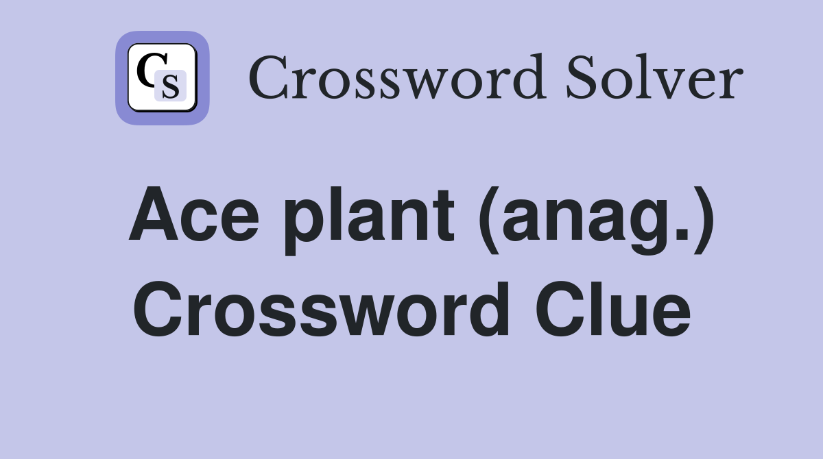 Ace plant (anag.) Crossword Clue