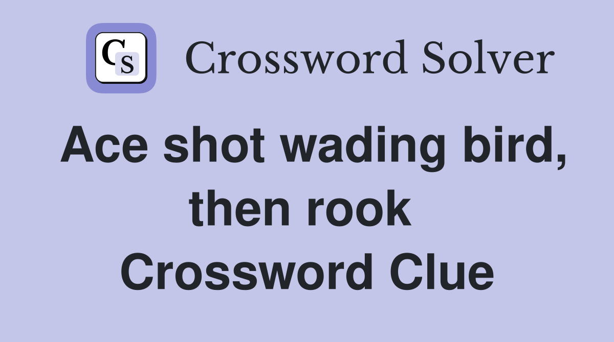 Ace shot wading bird, then rook  Crossword Clue