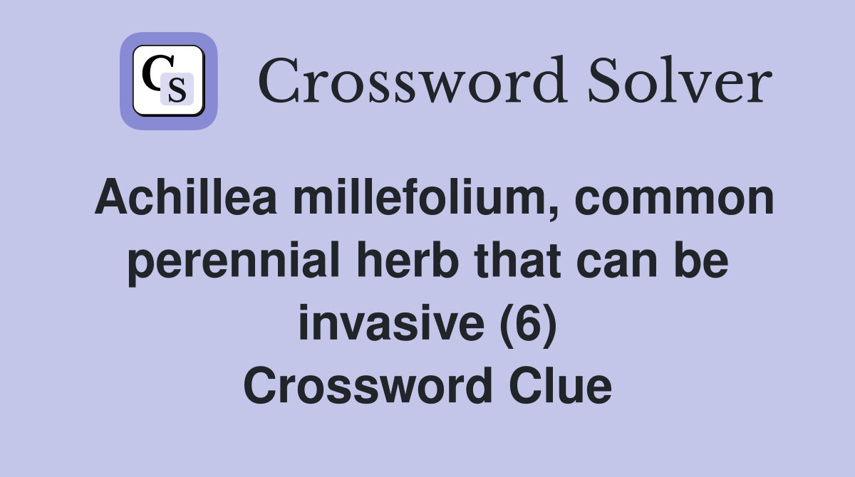 Achillea millefolium, common perennial herb that can be invasive (6) Crossword Clue