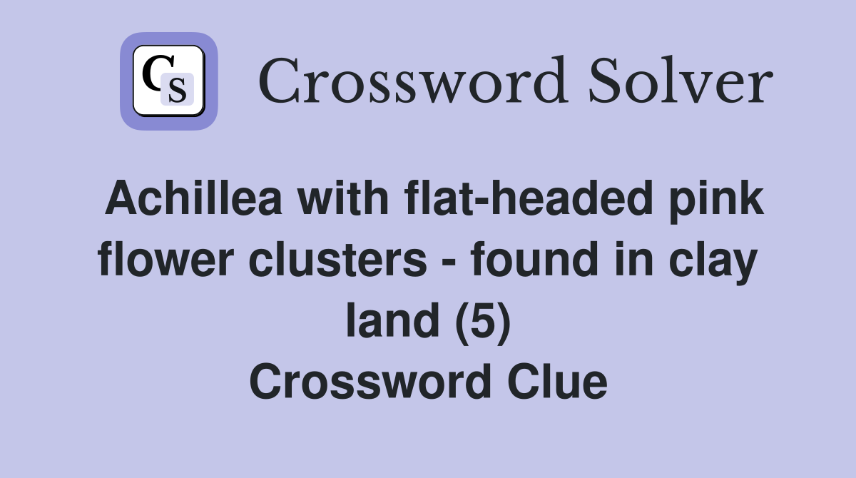Achillea with flat-headed pink flower clusters - found in clay land (5) Crossword Clue