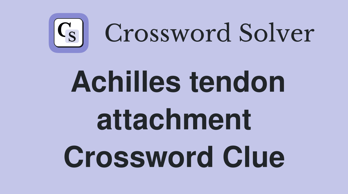 Achilles tendon attachment Crossword Clue